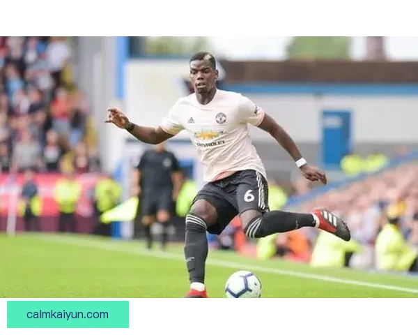 博格巴战术适配性