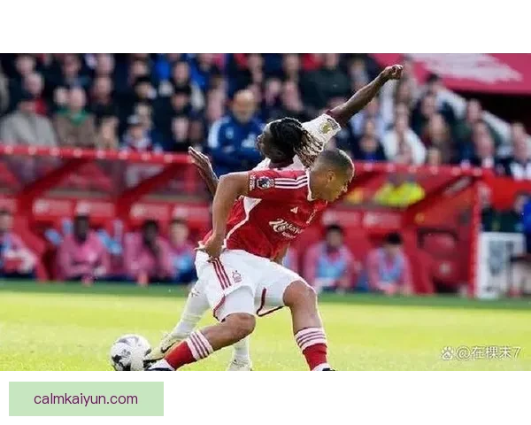 布莱顿关键球员状态回暖，球队竞争力增强备受关注