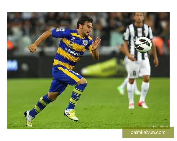 帕尔马近期表现稳健，整体实力逐步提升，值得关注。