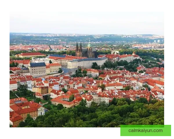 金玟哉在欧战中实现零封里程碑，状态持续提升引关注