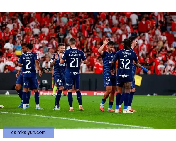 芬兰国家队在欧预赛中表现稳健，成为本届赛事的黑马球队。